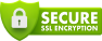 Secure SSL encryption badge icon with padlock.